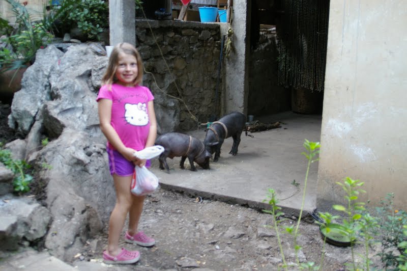 Sótano de las Huahuas